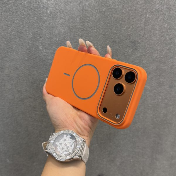 80898d45ffd441a9a6f98e0bb7a75321-goods CASE-64