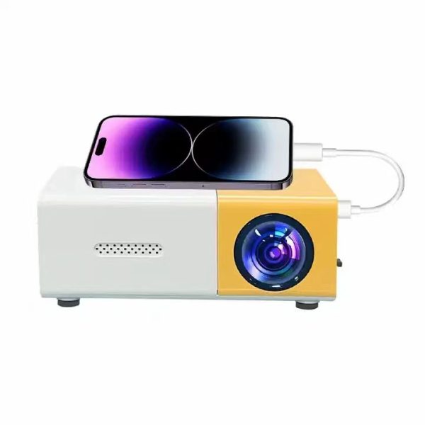 YG300